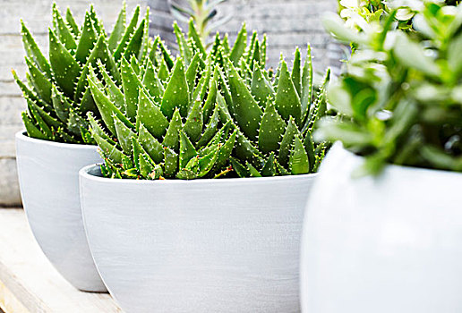 win8系统隐藏回收站图标让桌面变整洁的方法